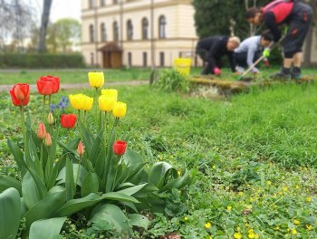 Dubnová brigáda v zahradě obr. 51