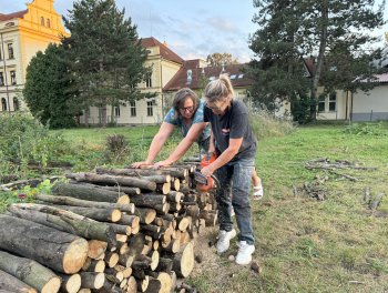 Mrtvé dřevo v zahradě obr. 147